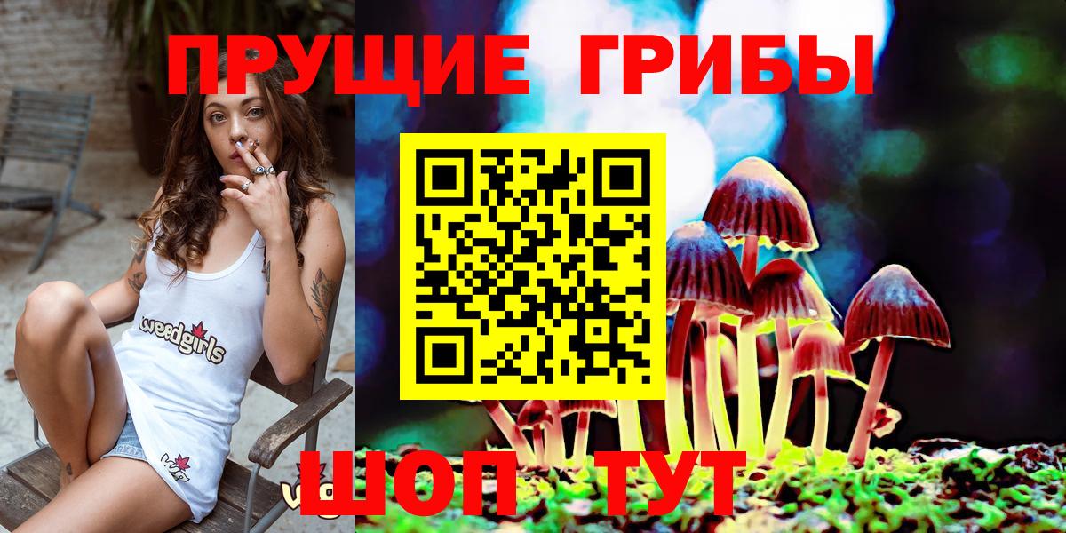 Псилоцибиновые грибы прущие грибы Учалы